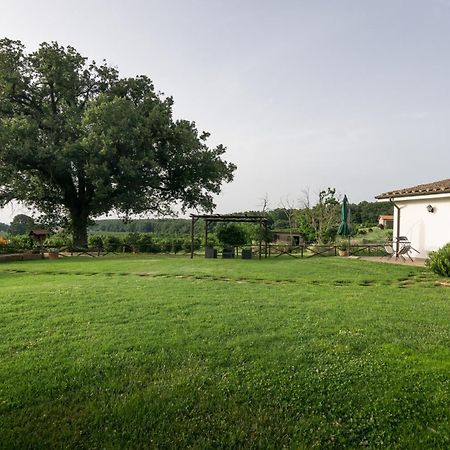 Agriturismo Il Poggio Ветрала Екстериор снимка