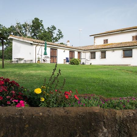 Agriturismo Il Poggio Ветрала Екстериор снимка