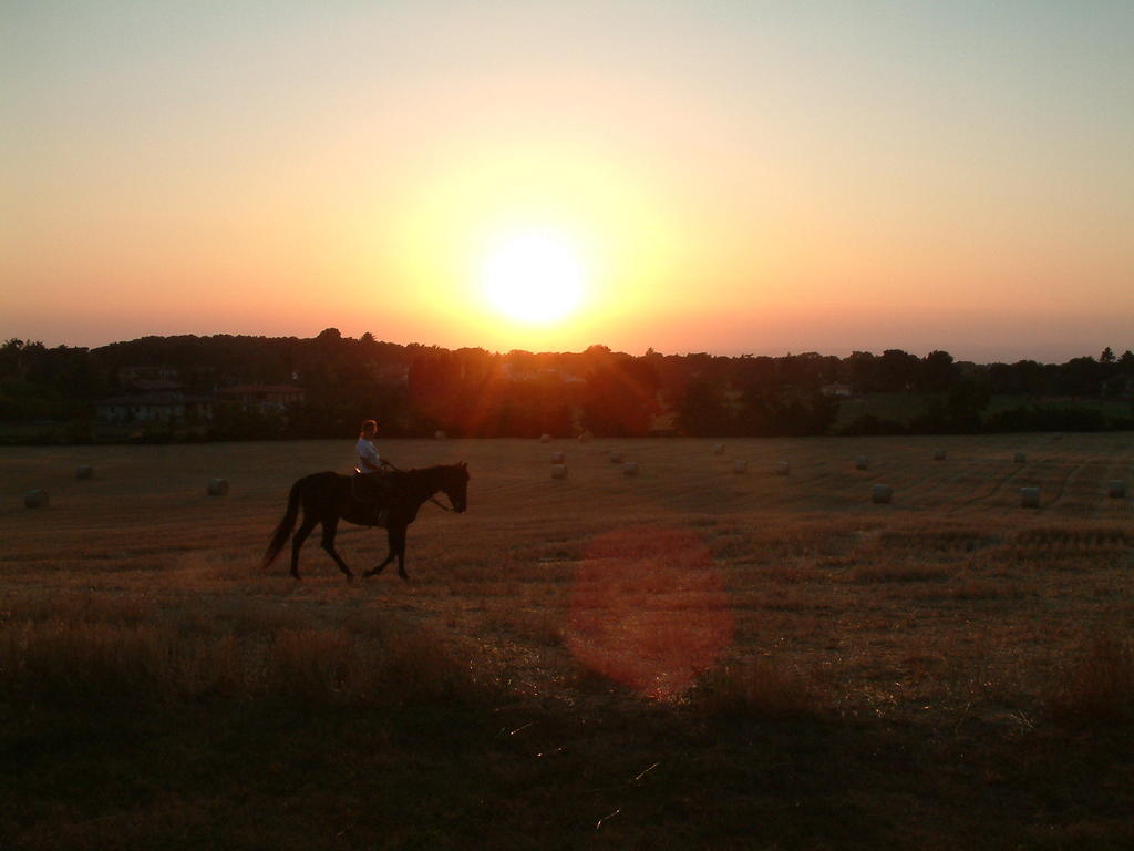 Agriturismo Il Poggio Ветрала Екстериор снимка