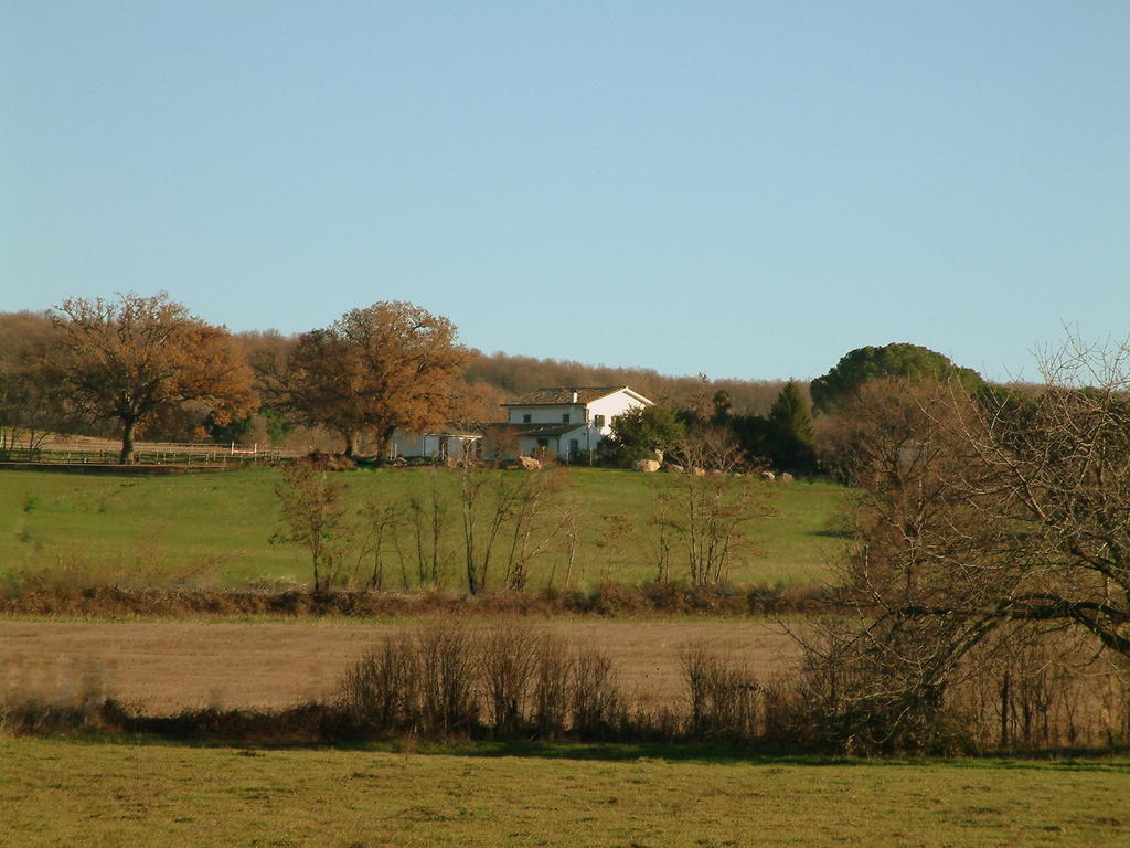 Agriturismo Il Poggio Ветрала Екстериор снимка