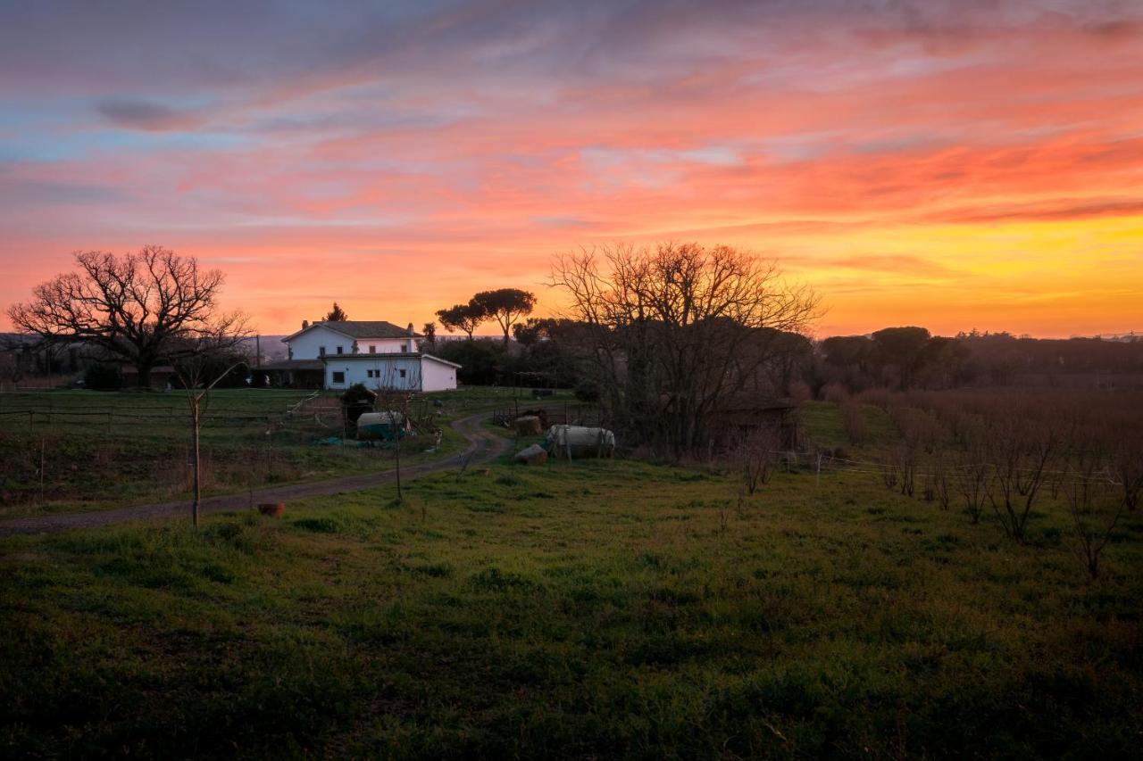 Agriturismo Il Poggio Ветрала Екстериор снимка