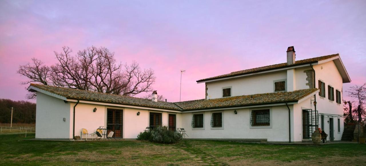 Agriturismo Il Poggio Ветрала Екстериор снимка