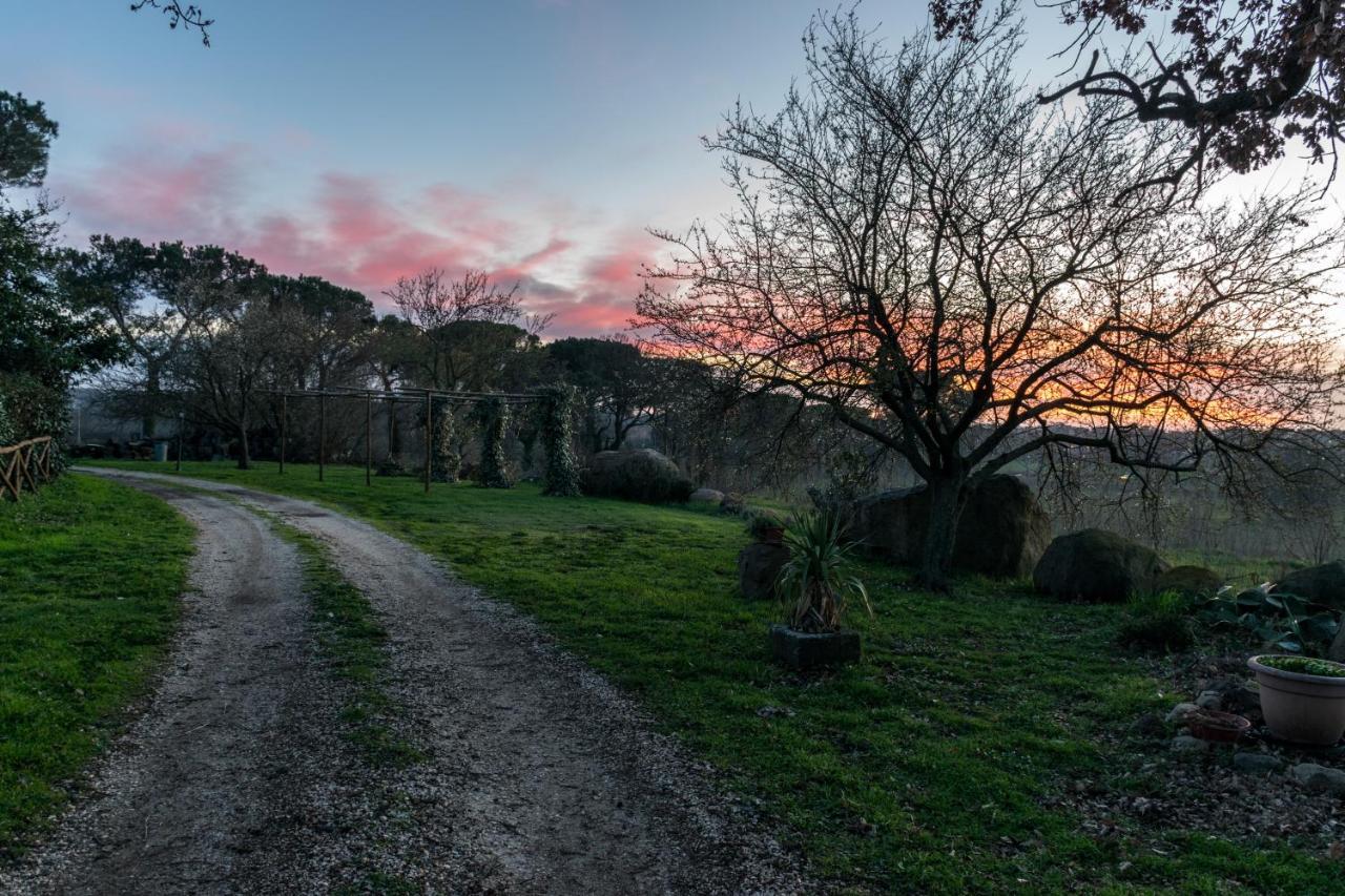 Agriturismo Il Poggio Ветрала Екстериор снимка