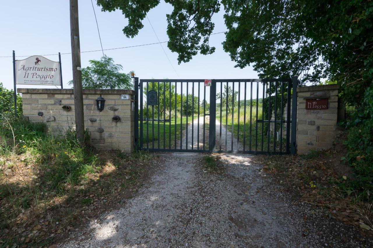 Agriturismo Il Poggio Ветрала Екстериор снимка