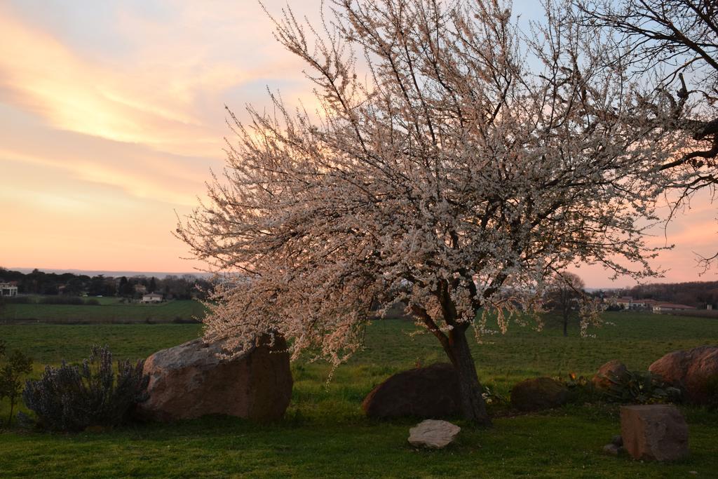 Agriturismo Il Poggio Ветрала Екстериор снимка