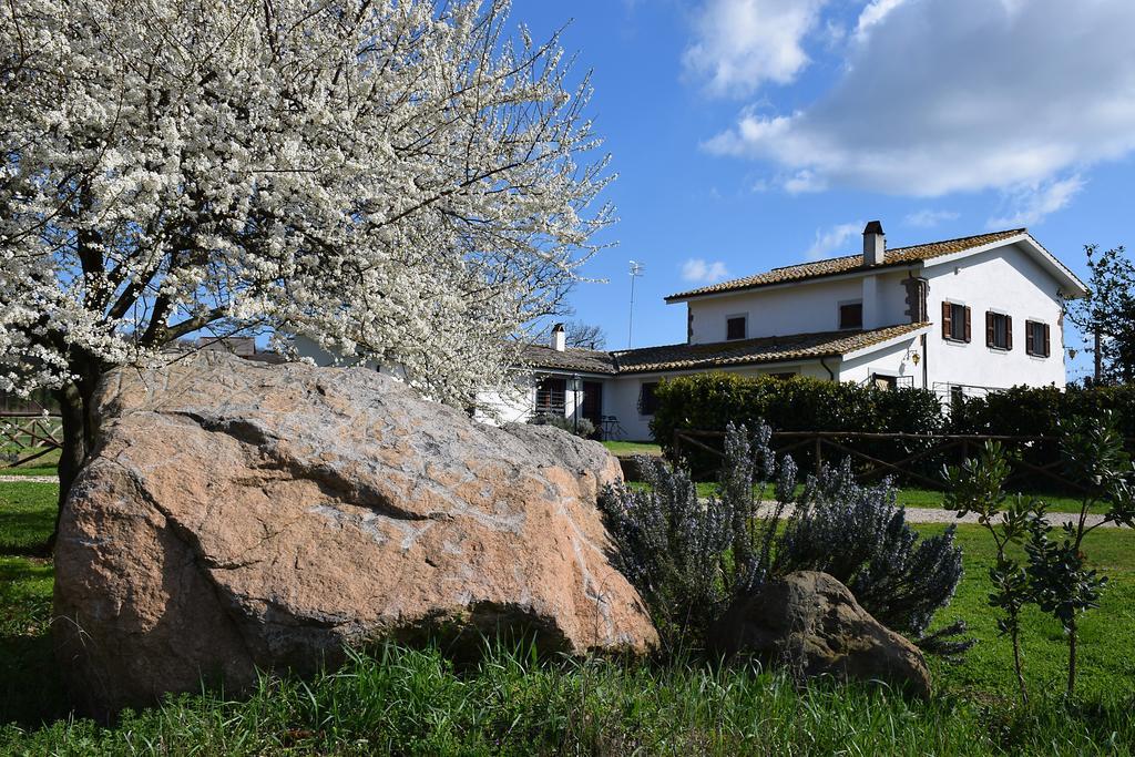 Agriturismo Il Poggio Ветрала Екстериор снимка